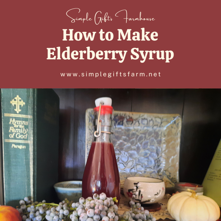 How to Make Elderberry Syrup Simple Gifts Farmhouse