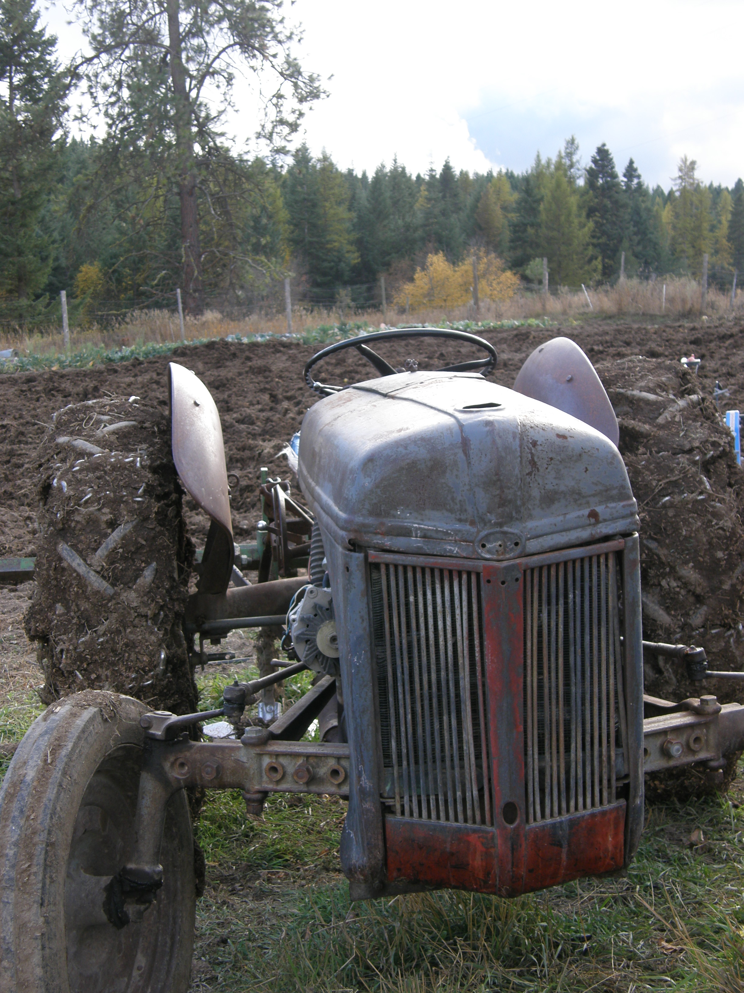 The tractor in the fall garden.