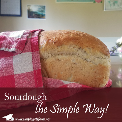 simple sourdough sandwich bread